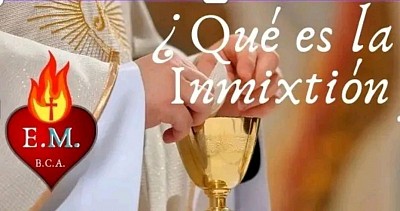 ¿ QUÉ ES LA INMIXTIÓN ?